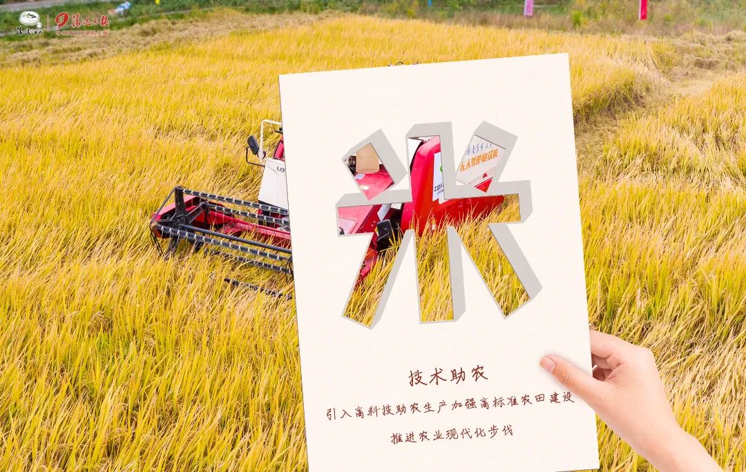 瓦里乡富硒大米（富硒大米基地）-硒宝网