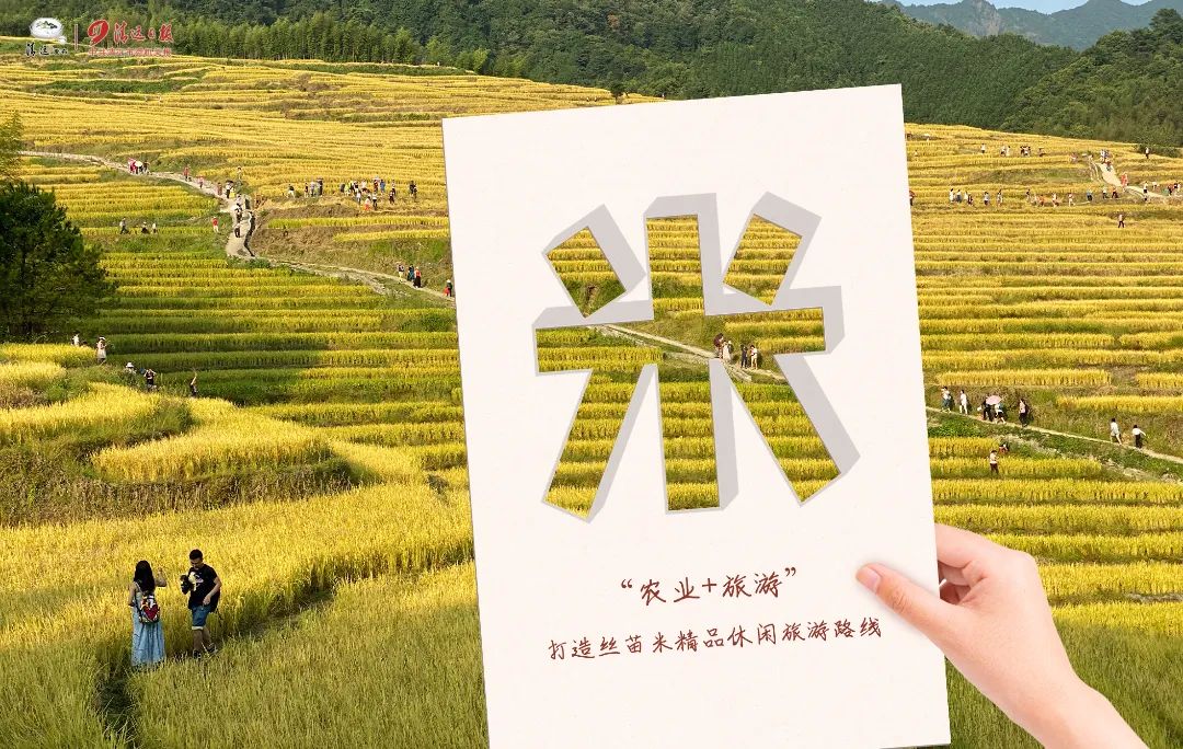 瓦里乡富硒大米（富硒大米基地）-硒宝网