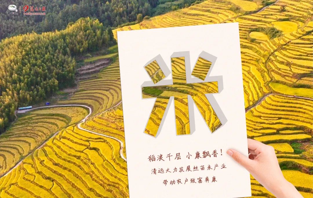 瓦里乡富硒大米（富硒大米基地）-硒宝网