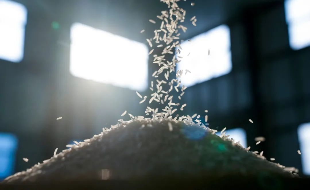 瓦里乡富硒大米（富硒大米基地）-硒宝网