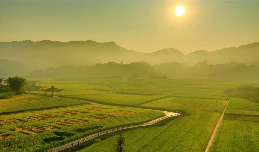 水泸坝富硒大米(富硒大米2.5公斤价格)-硒宝网