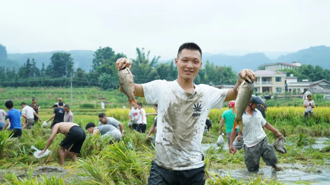 水泸坝富硒大米(富硒大米2.5公斤价格)-硒宝网