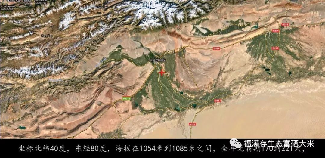石河子富硒大米(石台富硒大米)-硒宝网