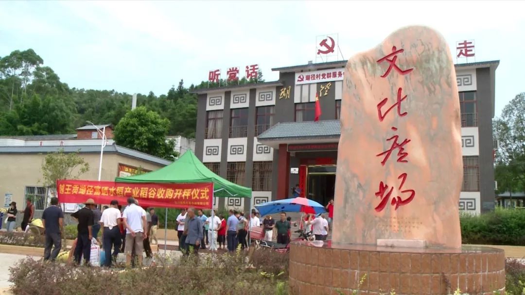 富硒大米有用吗（大米富硒用有什么好处）-硒宝网