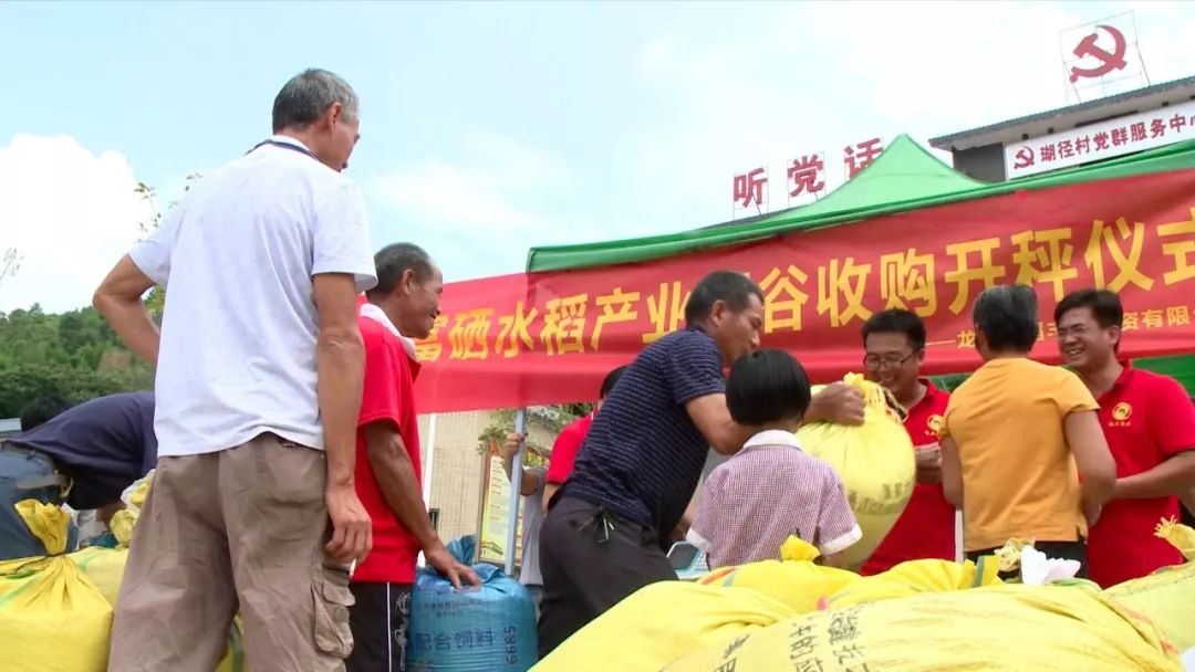 富硒大米有用吗（大米富硒用有什么好处）-硒宝网