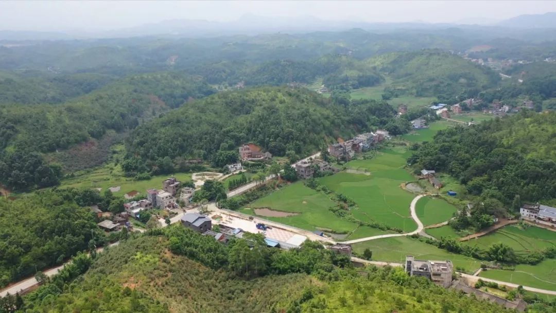 富硒大米有用吗（大米富硒用有什么好处）-硒宝网