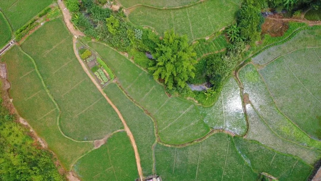 富硒大米有用吗（大米富硒用有什么好处）-硒宝网