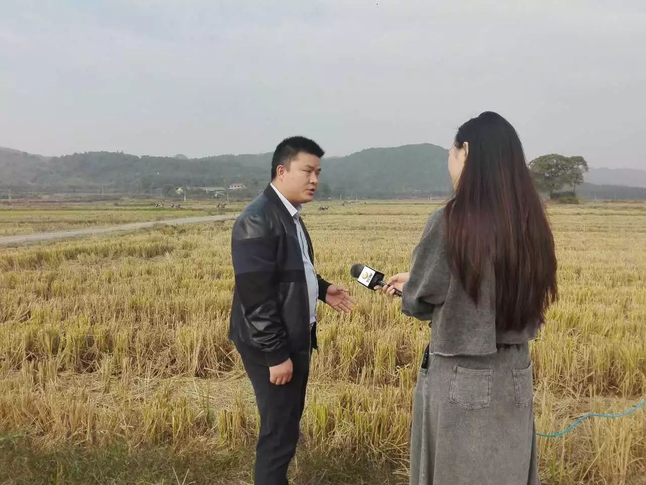 米大叔富硒大米（大米姐富硒米多少钱一斤）-硒宝网