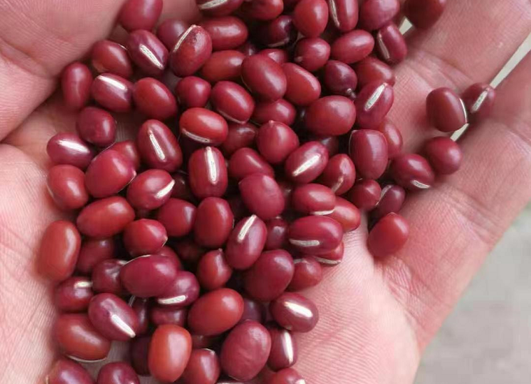 鹤岗富硒锌大米（锌硒钙大米）-硒宝网