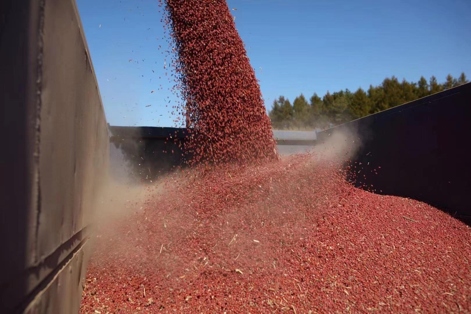 鹤岗富硒锌大米（锌硒钙大米）-硒宝网