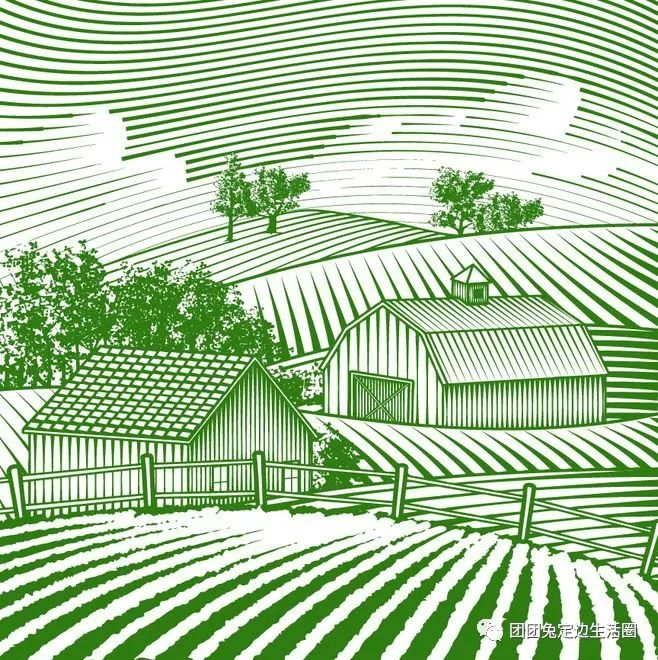 鹤临香富硒大米(鹤香生态米的价格)-硒宝网