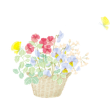 鹤临香富硒大米(鹤香生态米的价格)-硒宝网