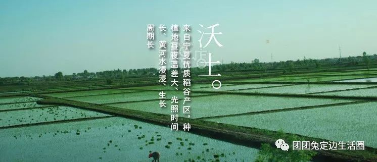 鹤临香富硒大米(鹤香生态米的价格)-硒宝网