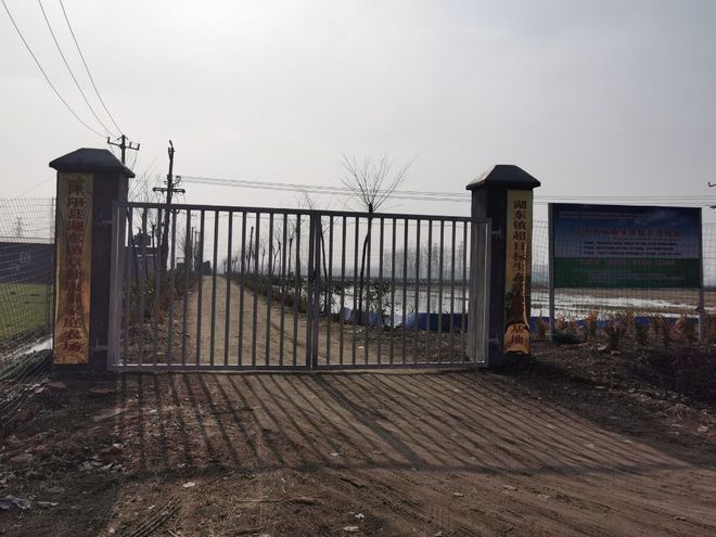 玛场湖富硒大米(富硒大米原产地在哪里)-硒宝网