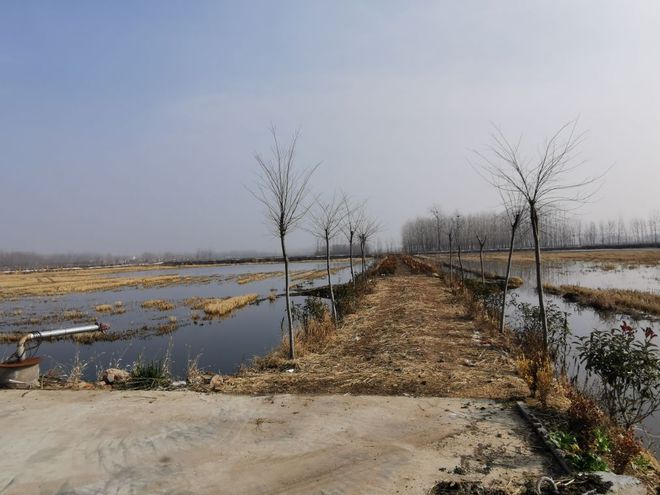 玛场湖富硒大米(富硒大米原产地在哪里)-硒宝网