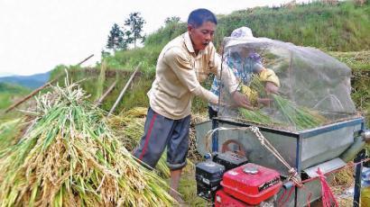 香浮村富硒大米(瑶乡富硒大米)-硒宝网