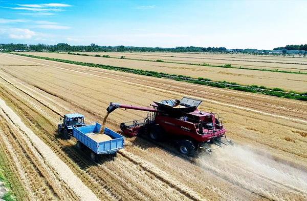 富硒大米江苏?。暇└晃竺祝?硒宝网