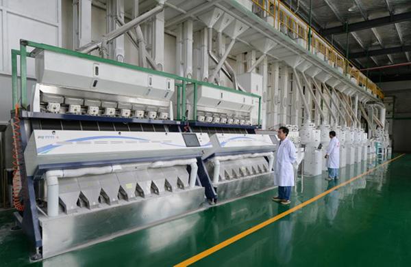 富硒大米江苏?。暇└晃竺祝?硒宝网