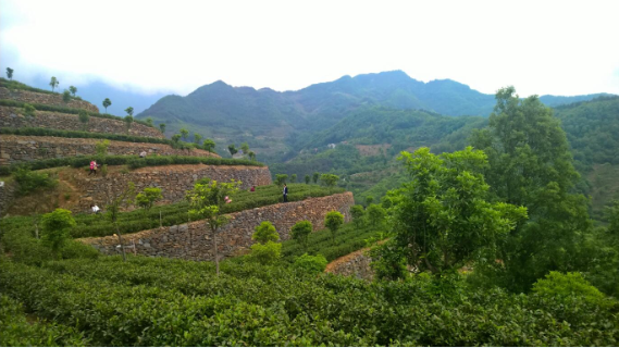 汉阴县富硒大米(汉阴富硒大米价格)-硒宝网