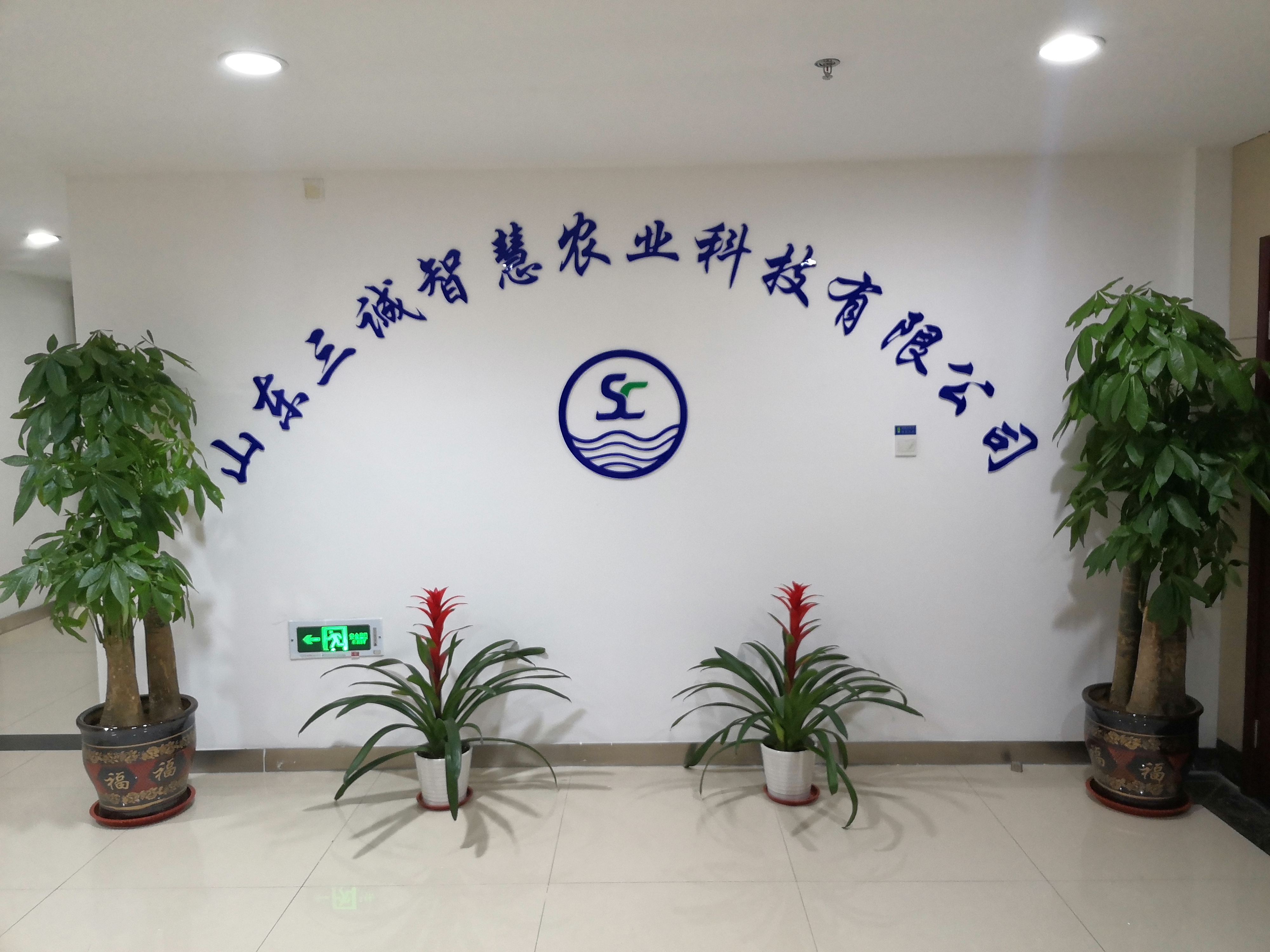 泰安市富硒大米(富硒优质大米)-硒宝网