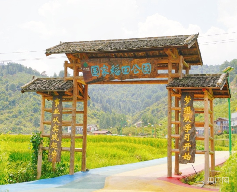 富硒大米血红色（富硒大米含硒吗）-硒宝网