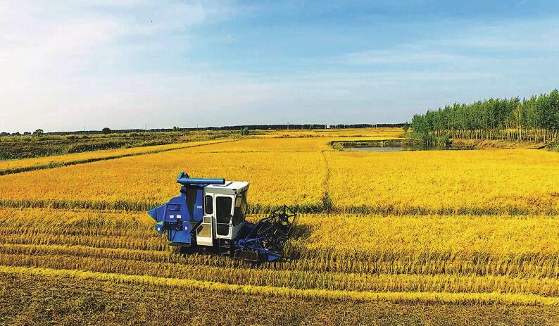 吉林市富硒大米（延吉富硒大米）-硒宝网