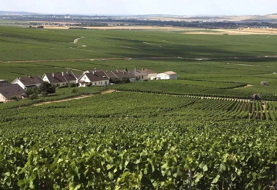 金乡县富硒大米（郯城富硒大米价格）-硒宝网