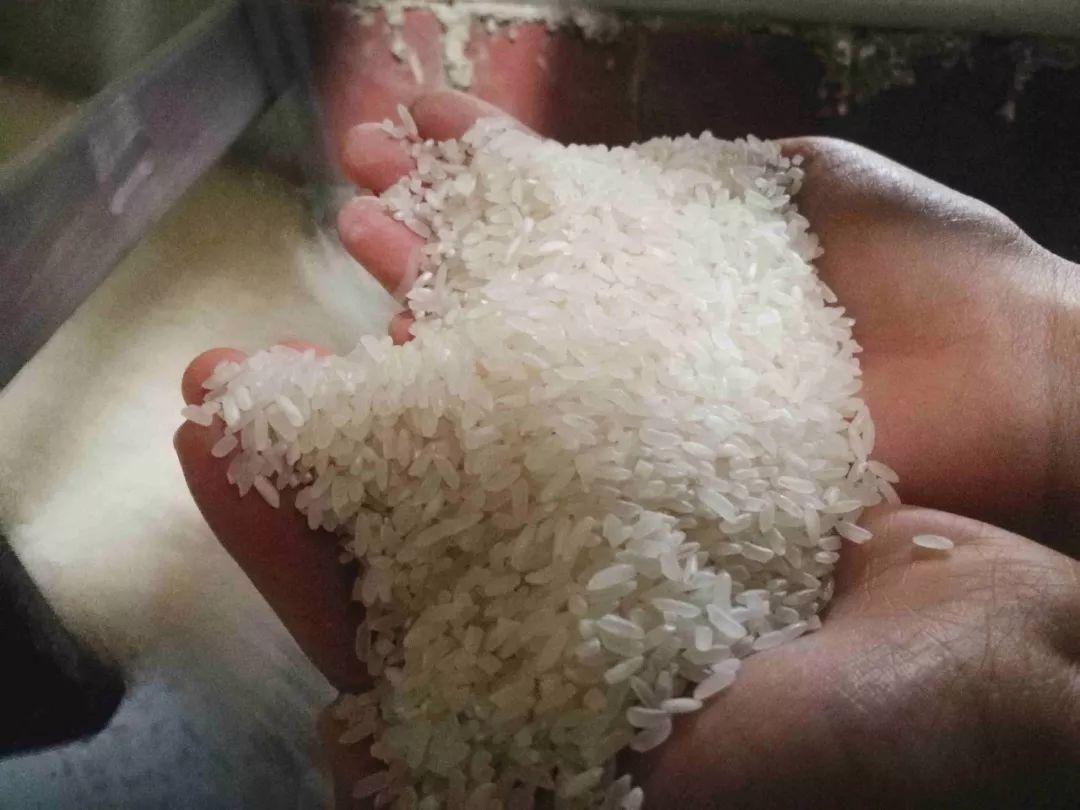 富硒大米1公斤(大米富硒米是健康食品吗)-硒宝网