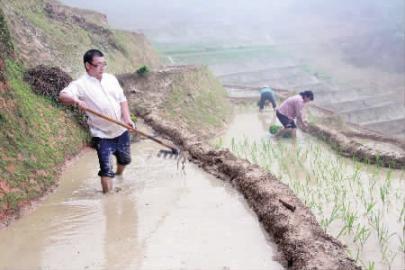 香浮村富硒大米(富硒香米多少钱一斤)-硒宝网