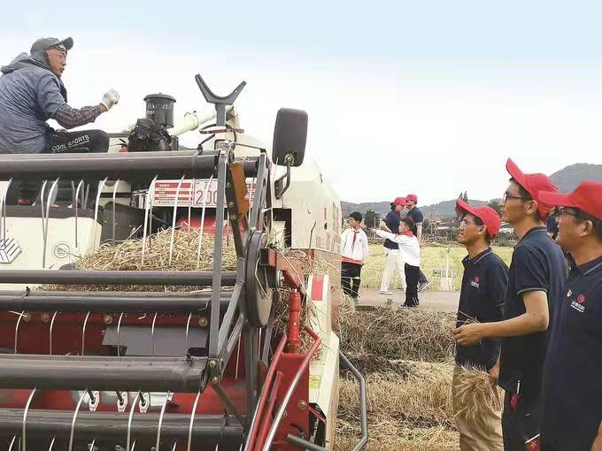 富硒大米批发价(富硒大米厂家)-硒宝网