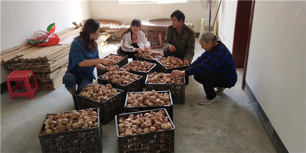 集贤县富硒大米（富硒大米多少钱一盒）-硒宝网