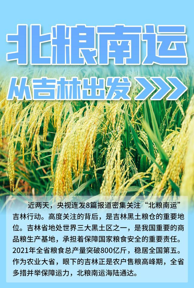 产富硒大米的县(富硒大米哪里生产最好)-硒宝网