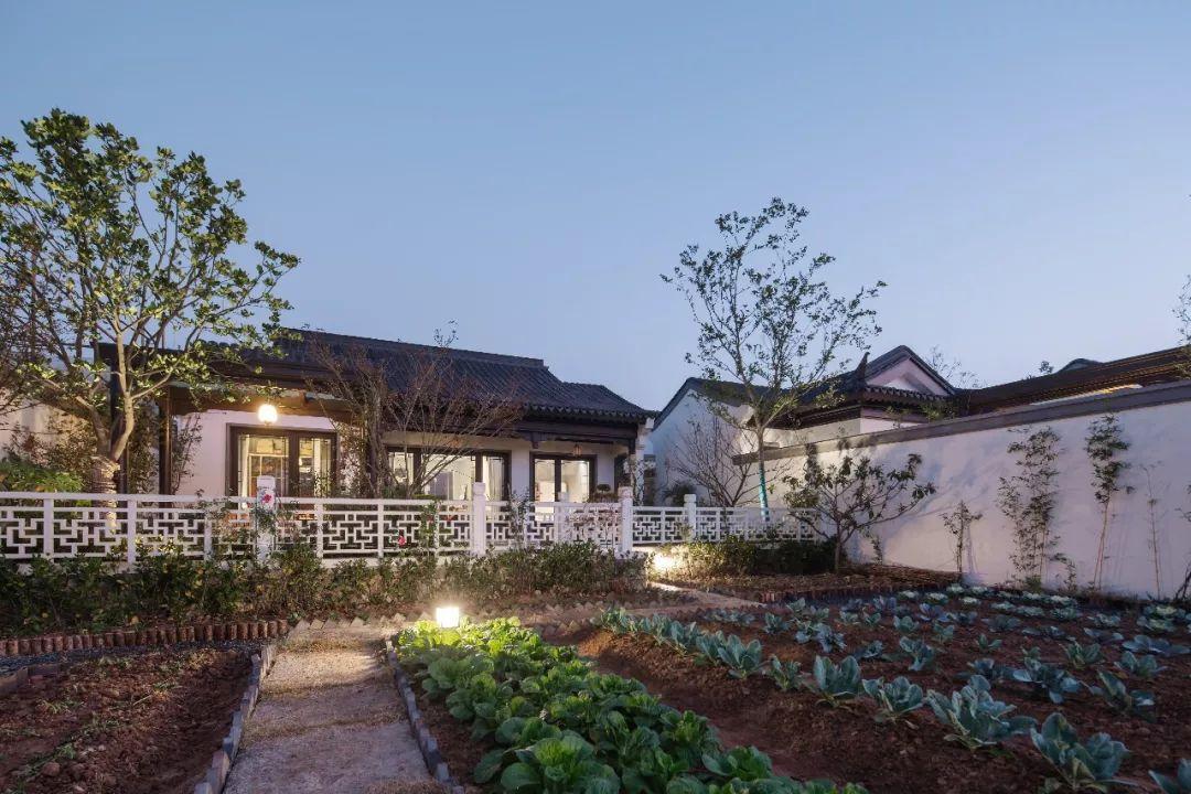 西子湖富硒大米（富硒大米硒含量是多少）-硒宝网