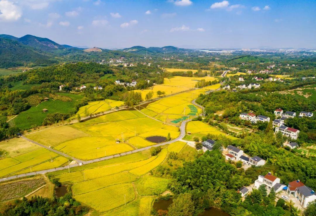 西子湖富硒大米（富硒大米硒含量是多少）-硒宝网