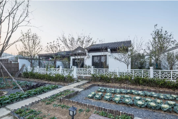 西子湖富硒大米（富硒大米硒含量是多少）-硒宝网