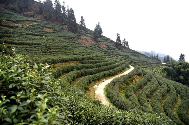 林澜牌富硒大米(富硒大米的绿色骗局)-硒宝网