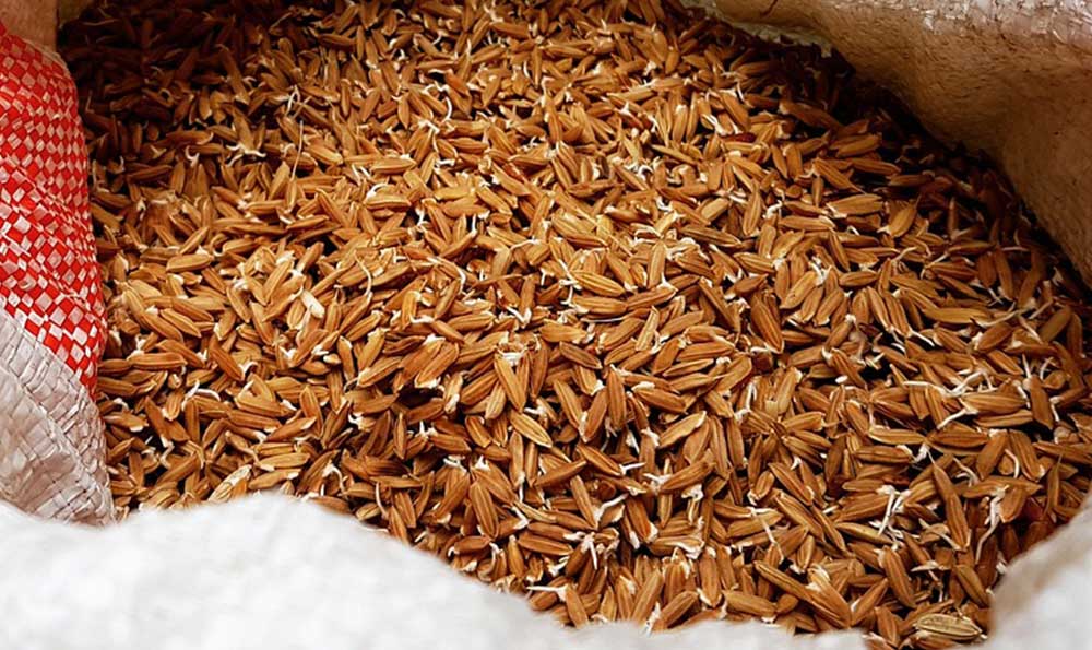 长粒香大米富硒（富硒大米闻起来是什么味道）-硒宝网