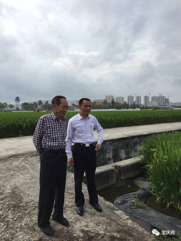 王化永富硒大米(富硒大米成分表)-硒宝网