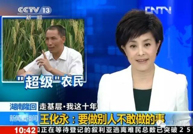 王化永富硒大米(富硒大米成分表)-硒宝网