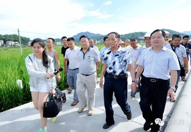 王化永富硒大米(富硒大米成分表)-硒宝网