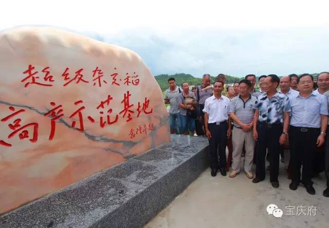 王化永富硒大米(富硒大米成分表)-硒宝网