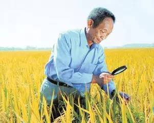 王化永富硒大米(富硒大米成分表)-硒宝网