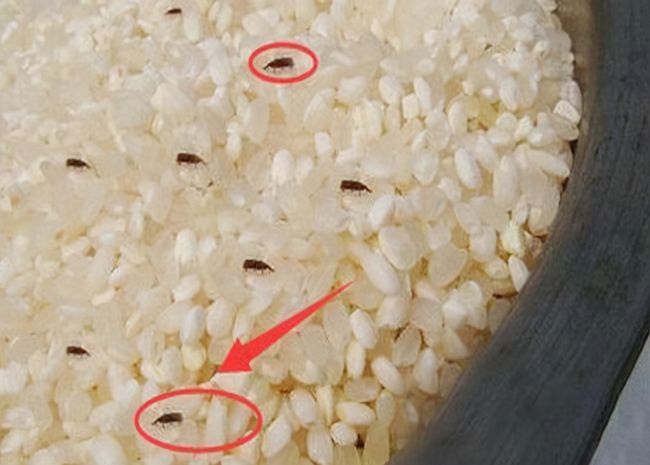 富硒大米有气味(富硒大米有股味)-硒宝网