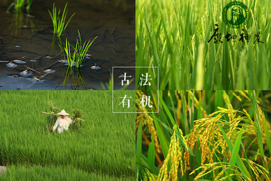 谷屹乡富硒大米（富硒大米市场前景）-硒宝网