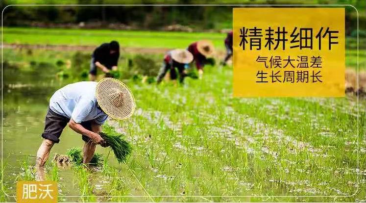 富硒大米闻起来(富硒大米为什么有味道)-硒宝网