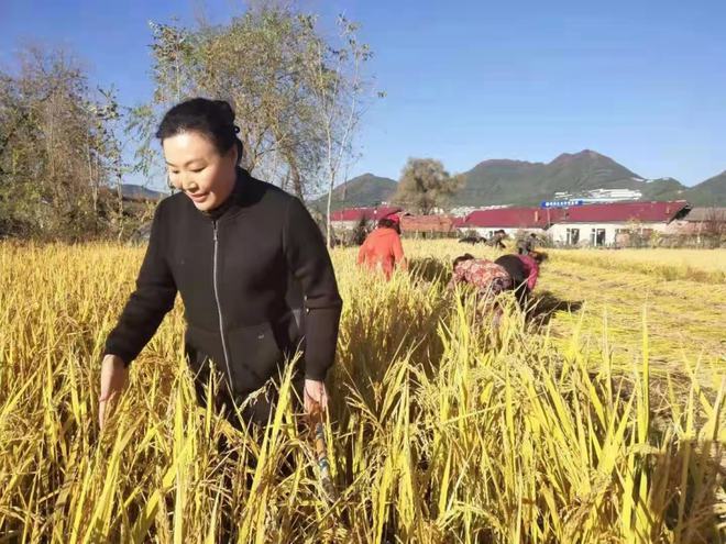 长白山富硒大米(富硒大米好在哪)-硒宝网
