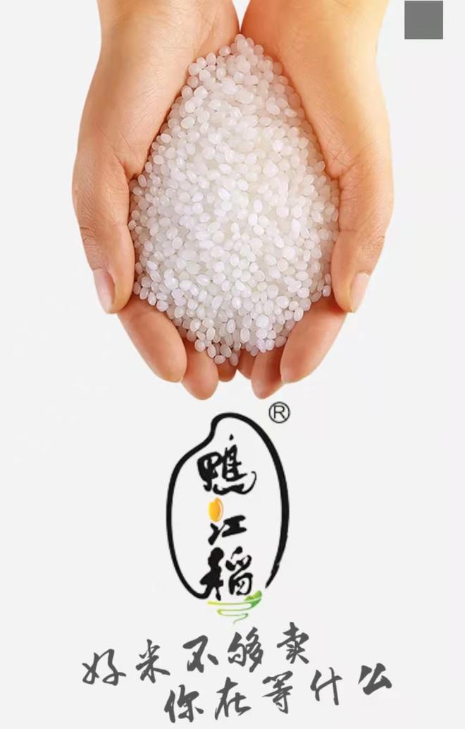 长白山富硒大米(富硒大米好在哪)-硒宝网