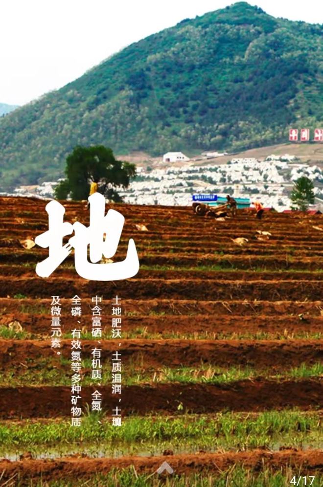 长白山富硒大米(富硒大米好在哪)-硒宝网