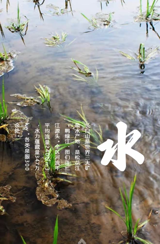 长白山富硒大米(富硒大米好在哪)-硒宝网