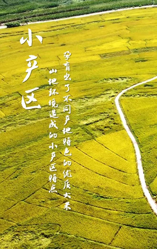 长白山富硒大米(富硒大米好在哪)-硒宝网